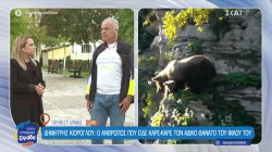 Το συγκλονιστικό δυστύχημα με την αρκούδα – Ο άνθρωπος που είδε τον θάνατο του φίλου του περιγράφει όσα έγιναν 