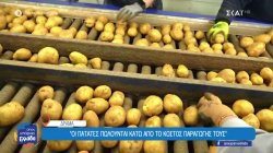 Η ξακουστή πατάτα Νευροκοπίου, τα προβλήματα των παραγωγών και η εφευρετικότητα των μαθητών 