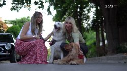 Pet Stories | Trailer | 11/10/2025