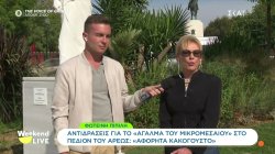 Αντιδράσεις για το 