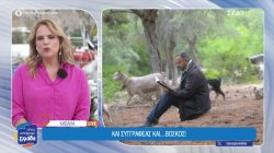 Καβάλα: Και συγγραφέας και...βοσκός 