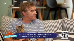 Νίκος Ορφανός: Οι γάτες είναι μοναχικές σαν εμένα έχω μάθει πράγματα από αυτές