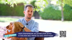 Ποια συμπεριφορά αν δούμε στον σκύλο ή την γάτα μας πρέπει να μας ανησυχήσει
