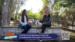 Τι ισχύει για το βιβλιάριο υγείας και το διαβατήριο των ζώων συντροφιάς