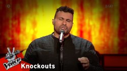 Νίκος Συνολάκης - «Γεννήθηκα σε μια στιγμή» 