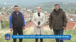 Αγριογούρουνα εκτός ελέγχου: Οι κάτοικοι των Γρεβενών ζουν με τον φόβο 