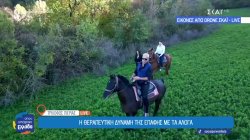 Η θεραπευτική δύναμη της επαφής με τα άλογα 