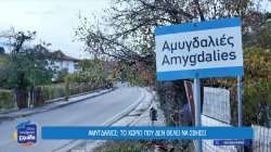 Αμυγδαλιές Γρεβενών: Το χωριό που παλεύει για να μην σβήσει – Τα κίνητρα και τι ζητούν οι κάτοικοι 