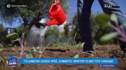 Στο δημοτικό σχολείο Άριος οι μαθητές παράγουν το δικό τους ελαιόλαδο