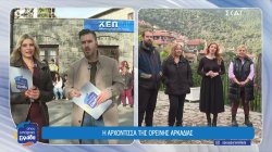  Στεμνίτσα το αρχοντοχώρι της Αρκαδίας και η Δημητσάνα η αρχόντισσα της Ορεινής Αρκαδίας