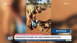 Βόλτα στον κόσμο - Μοναδικές εικόνες που μας έκαναν εντύπωση 