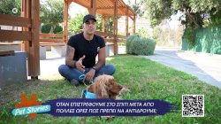 Πως πρέπει να αντιδρούμε με τον σκύλο μας όταν επιστρέφουμε στο σπίτι μετά από πολλές ώρες 
