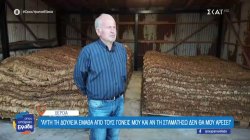 Βέροια: Οκτώ οικογένειες κρατούν ζωντανή την παράδοση του καπνού