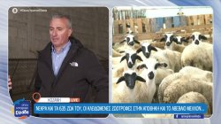 Κοζάνη: Κτηνοτρόφοι μιλούν για τα μεγάλα προβλήματα που αντιμετωπίζουν – Αβέβαιο το μέλλον 