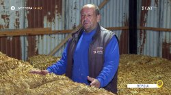 Όπου Υπάρχει Ελλάδα | Βέροια - Trailer | 10/11/2025