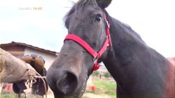 Όπου Υπάρχει Ελλάδα – Κοζάνη | Trailer | 04/11/2025