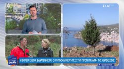 Η Βόρεια Εύβοια ξαναγεννιέται: Το ΟΜΜ και οι ρητινοκαλλιεργητές στην πρώτη γραμμή της αναδάσωσης