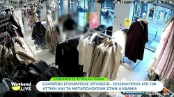 Εξάρθρωση εγκληματικής οργάνωσης - Έκλεβαν ρούχα από την Αττική και τα μεταπουλούσαν στην Αλβανιά