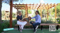 Η συμπεριφοριστική κτηνιατρική και τα πιο συχνά προβλήματα συμπεριφοράς σε σκύλους και γάτες 