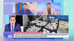Μ. Θεμιστοκλέους: Το ζευγάρι θα μεταφερθεί με πτήση της πολεμικής αεροπορίας στην Ιταλία για μεταμόσχευση