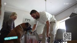 Στέφανος Βούρος: Τα κατοικίδια για εμένα είναι οικογένεια – Ο «Μπέργκερ» με έμαθε πολλά για την αγάπη