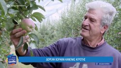 Δωρεάν χωράφια κανένας αγρότης