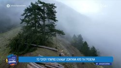 Η δύσκολη, αλλά πολύ σημαντική δουλειά των υλοτόμων των Γρεβενών 