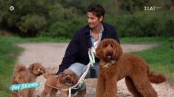 Ο Γιώργος Καράβας, ο Ζίνο, η  Φρέγια και ο Τσίκο στην παρέα μας