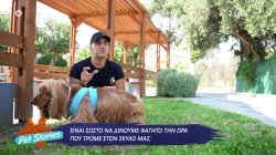 Είναι σωστό να δίνουμε φαγητό την ώρα που τρώμε στον σκύλο μας