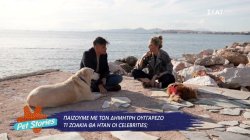 Παίζουμε με τον Δημήτρη Ουγγαρέζο 