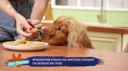 Φτιάχνουμε εύκολα και θρεπτικά ντόνατς για σκύλους και γάτες