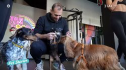 Πως γεννήθηκε η ιδέα της γυμναστικής με τα ζωάκια μας 