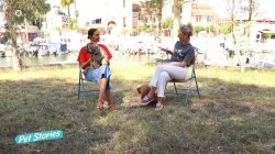  Νόνη Δούνια: Μάθαμε στα παιδιά μας πως το να έχεις ζωάκια προδιαθέτει και υποχρεώσεις