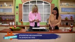 Φτιάχνουμε μελομακάρονα για σκύλους και γάτες