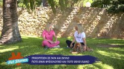 Πως αντιμετωπίζουμε την τριχόπτωση σε γάτα και σκύλο 