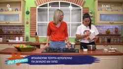 Φτιάχνουμε τούρτα κοτόπουλο για σκύλους και γάτες