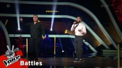 Θοδωρής Κουτσουπιάς & Γιώργος Δενέζης - «Ο ήλιος βασιλεύει» 