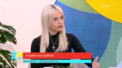 Η υγεία των ζωδίων 