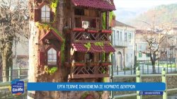 Φλώρινα: Έργα τέχνης σκαλισμένα σε κορμούς δέντρων 