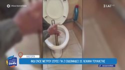 Καστοριά: Φίδι ενός μέτρου ζούσε για 2 εβδομάδες σε λεκάνη τουαλέτας