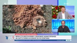  Συνελήφθησαν 4 ανήλικοι για ληστείες στη Κηφισιά - 90χρονος έθαψε ζωντανό το σκύλο του στη Θεσσαλονίκη 
