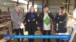 Οι γυναίκες κτηνοτρόφοι στηρίζουν τον αγώνα των αγροτών στα μπλόκα