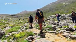 Happy Traveller - Ψηλορείτης | Β' Μέρος | Trailer | 06/12/2025