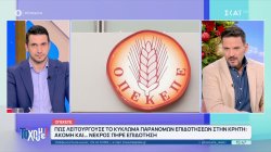 ΟΠΕΚΕΠΕ: Πως λειτουργούσε το κύκλωμα παράνομων επιδοτήσεων – Ακόμη και… νεκρός πήρε χρήματα 