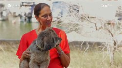 Pet Stories | Νόνη Δούνια - Trailer | 27/12/2025