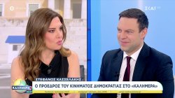 Στέφανος Κασσελάκης: Υπήρχε εγκληματική οργάνωση με τον ΟΠΕΚΕΠΕ