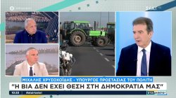 Χρυσοχοΐδης στον ΣΚΑΪ: Δεν μπορεί να καταλαμβάνονται τελωνεία και λιμάνια, καμία διάθεση βίας από ΕΛΑΣ