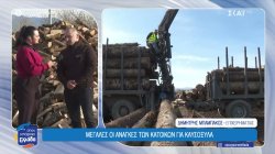 Τι να προσέξουν οι καταναλωτές στην αγορά ξύλου - Ποια καυσόξυλα είναι πιο αποδοτικά 