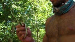 Νέο θύμα του Πολύχρου ένα φίδι – Ποιοι δέχτηκαν να δοκιμάσουν και ποιοι ούτε καν το σκέφτονται 