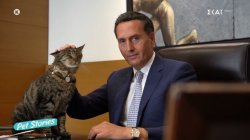 Ο Μιχάλης Δημητρακόπουλος μιλά για τον πολύτιμο συνεργάτη του και σύντροφο Φίγκαρο – Η συγκίνηση του 